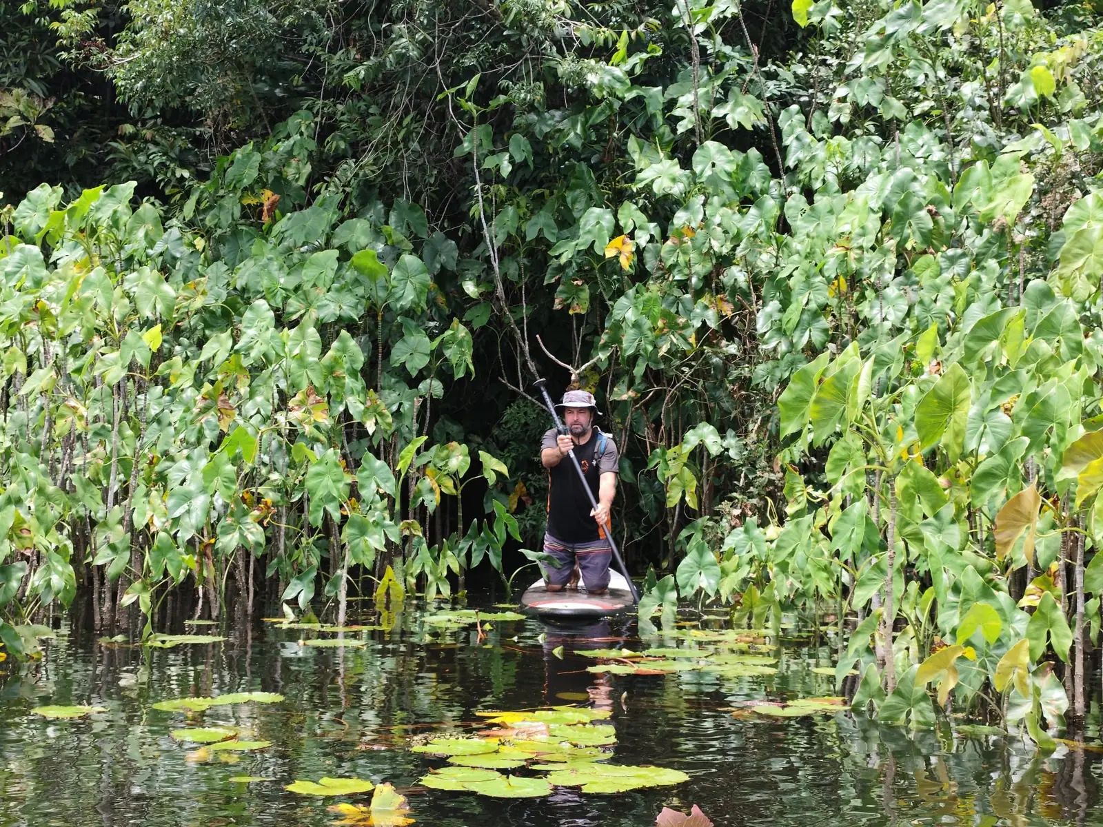 Allan en paddle sur une crique, entre les moucou-moucou